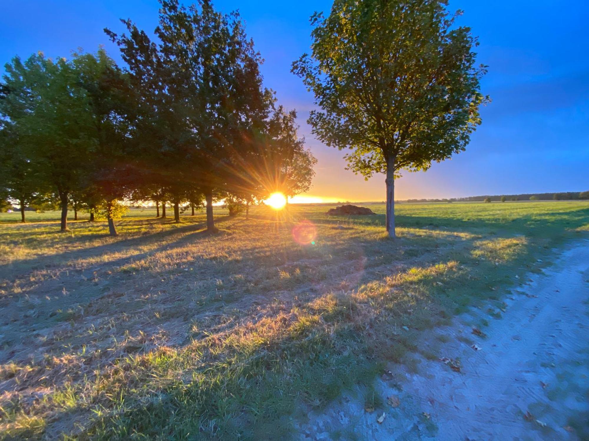 Wolfshotel Am Arendsee อาเรนด์เซ ภายนอก รูปภาพ