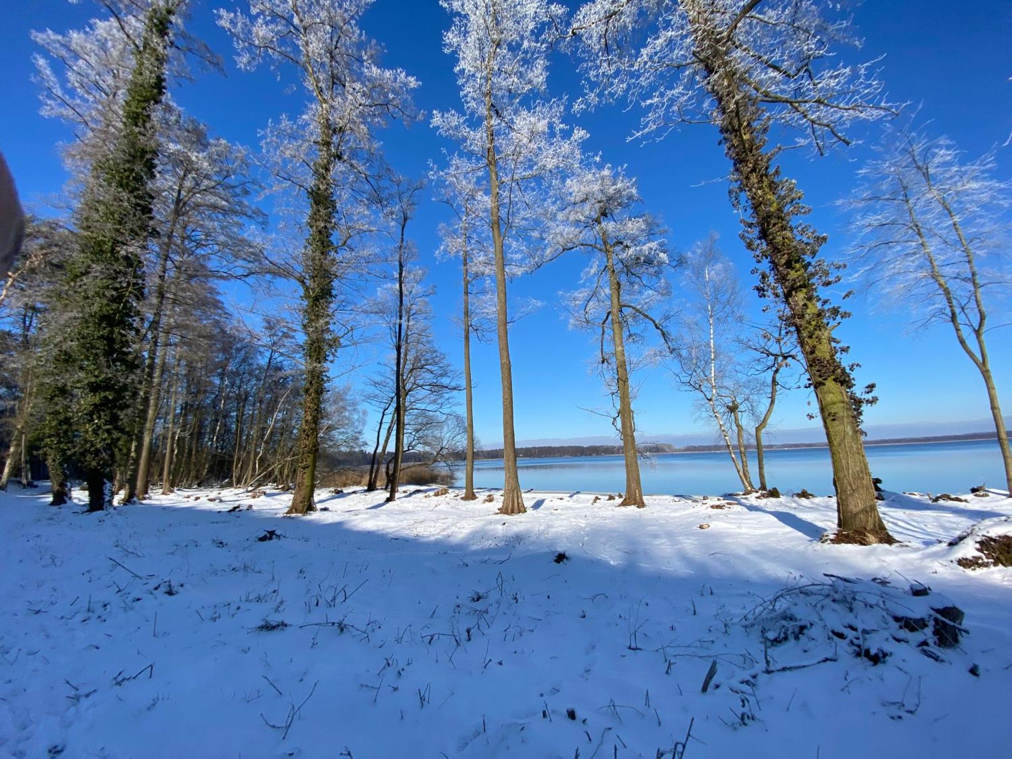 Wolfshotel Am Arendsee อาเรนด์เซ ภายนอก รูปภาพ